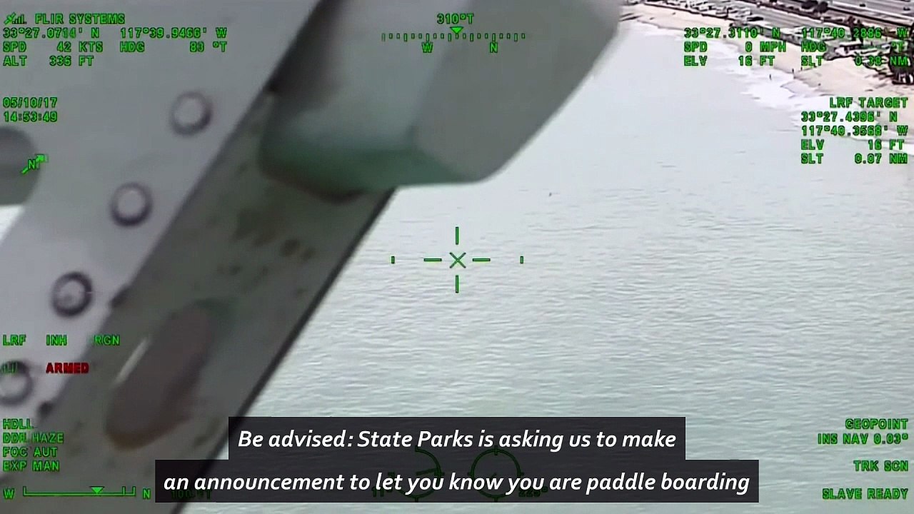 Paddle-boarders in California escape 15 great white sharks
