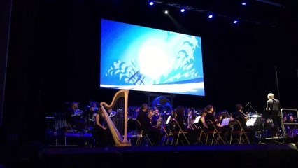 Dragon Ball Symphonic Adventure 13-20