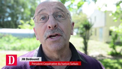 Dans la mêlée du Haricot Tarbais