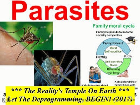 Leeches Of Black YouTube Beggars 4 Money