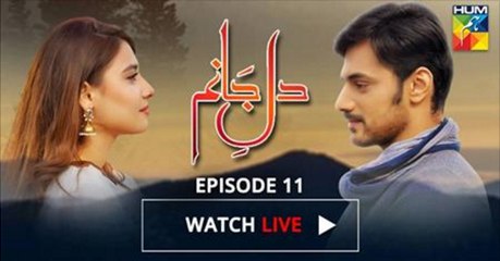 Dil e Jaanam Episode 11 Full HD HUM TV Drama 12 May 2017