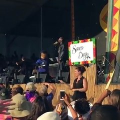 Une interprète de langue des signes avec sa traduction enthousiaste de la performance de Snoop Dogg