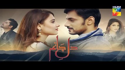 Dil e Jaanam Episode 11 Full HD HUM TV 12 May 2017