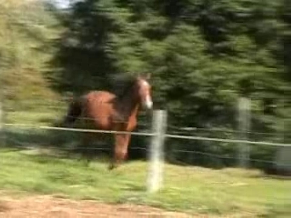 STORM-saut &TB allures-Oct 2007