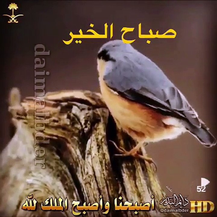 صباحكم فل وياسمين