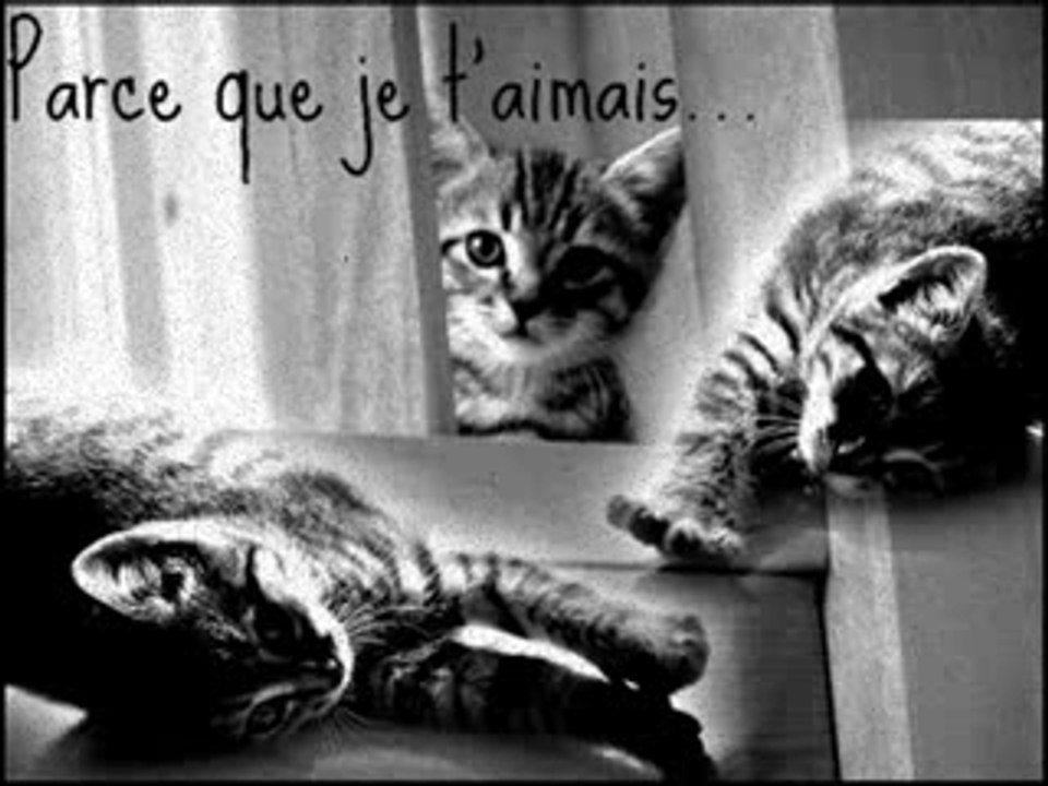 Marcel