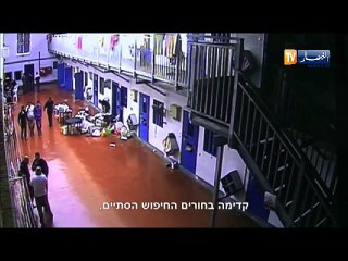 فلسطين المحتلة: إضراب الكرامة يتحدى قضبان سجون الإحتلال