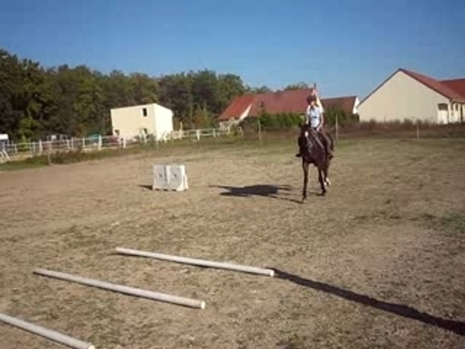MVI_0978