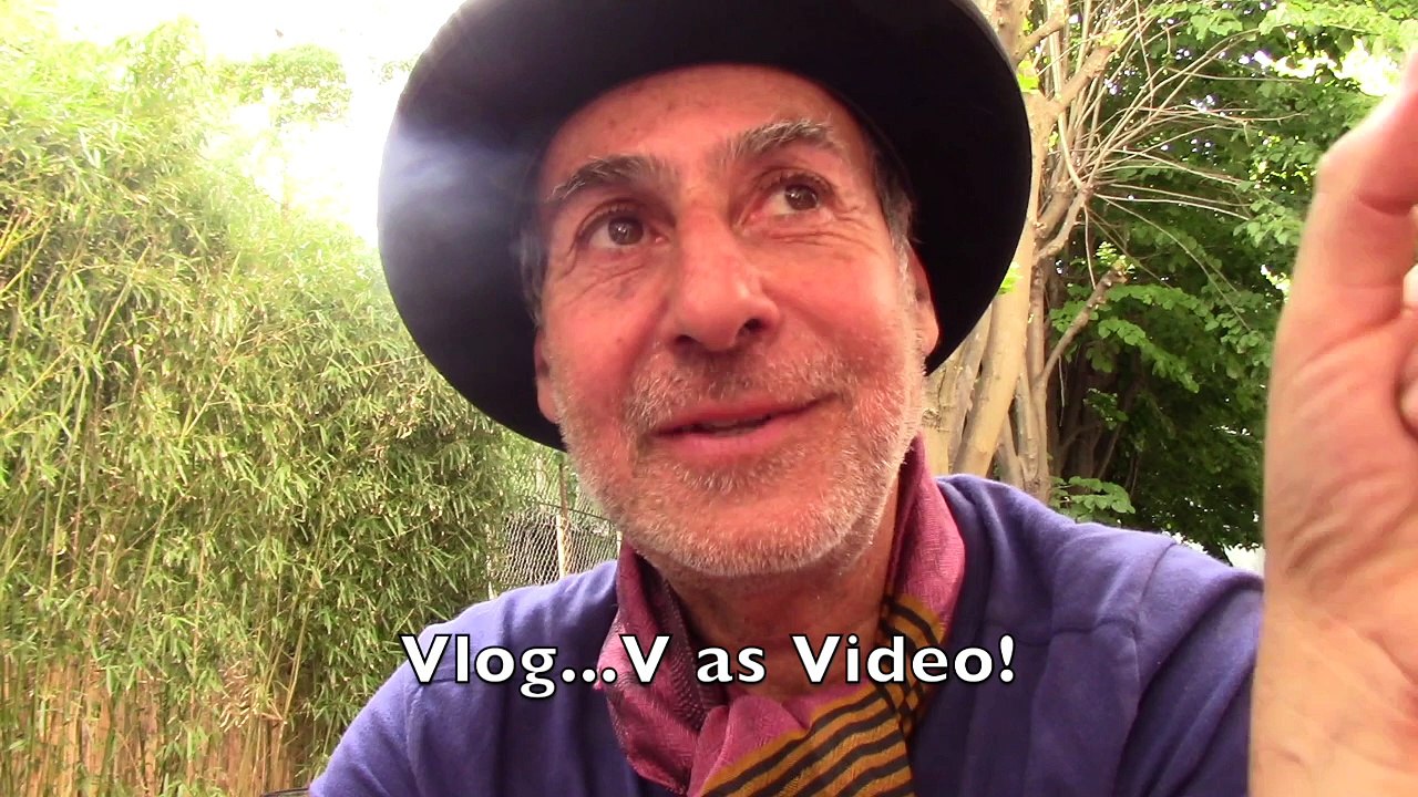 A BLOG OR A VLOG?