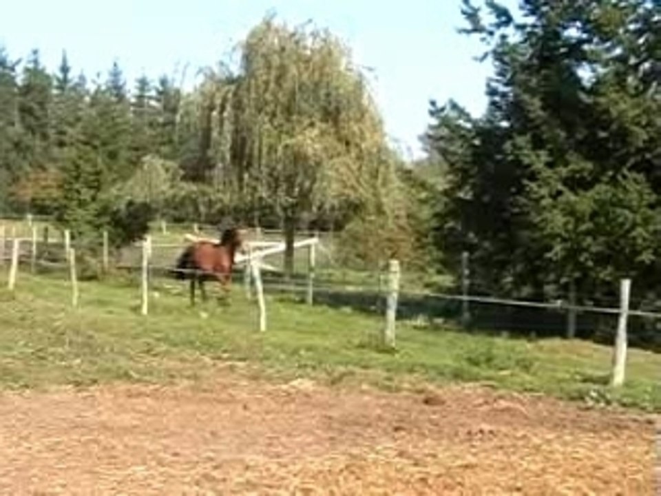 STORM-saut trot-Oct 2007