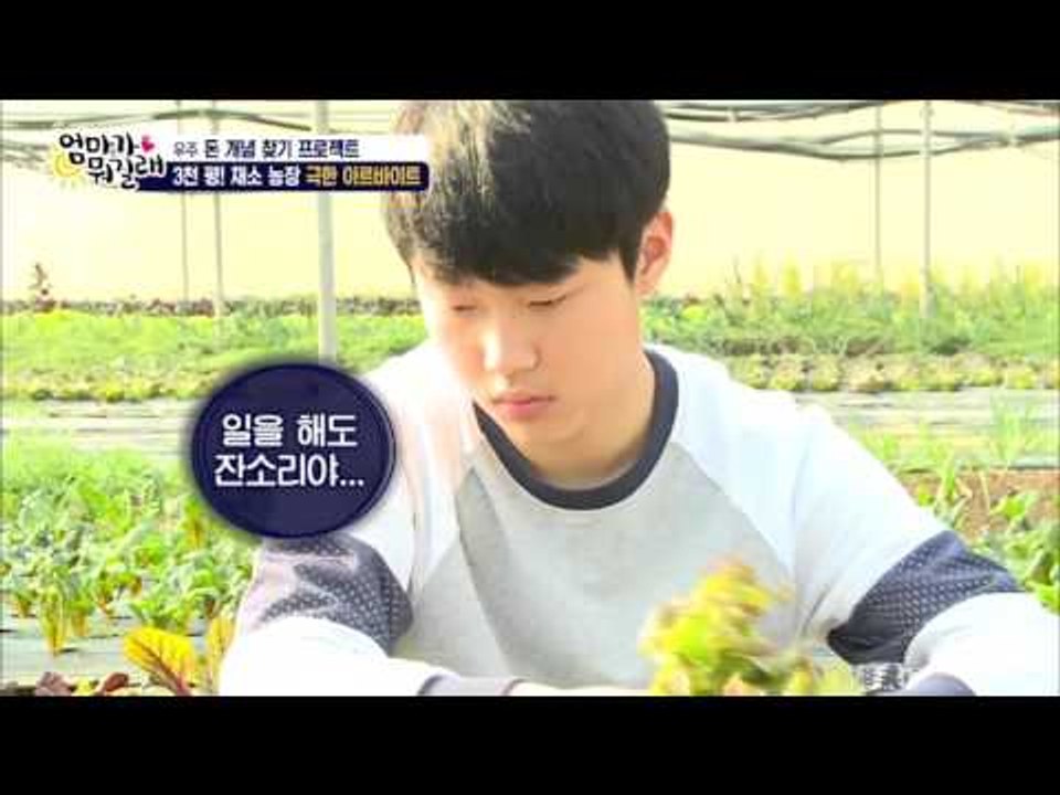 우주의 극한 아르바이트! 채소 농장 [엄마가 뭐길래] 12회 20160128