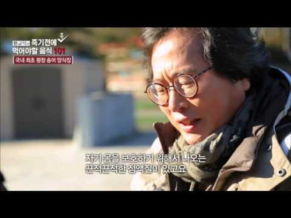 국내 최초 송어 양식장! [황교익의 죽기 전에 꼭 먹어야 할 음식 101] 8회 20...