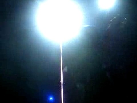 Springt hoch killerpilze concert lyon