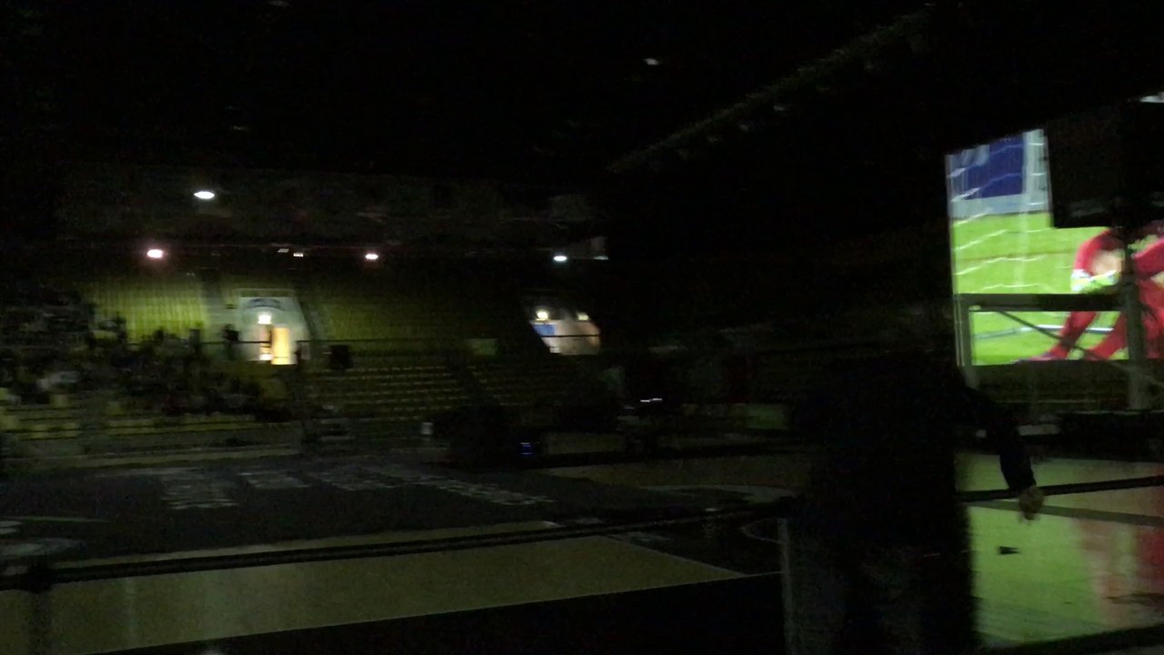 Niort-Racing Strasbourg : 2-2