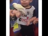 Kuşu Öpmek İsterken Yiyen Çocuk