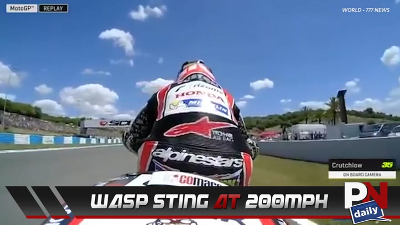 Try Getting Stung By A Wasp On A Motorcycle At 200MPH