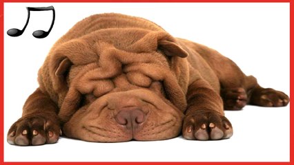 Musica Diseñada para Relajar y Dormir perros inquietos - Parte/2 - DailyMotion