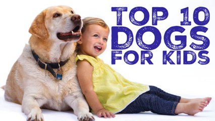 Top 10 dog breeds for kids