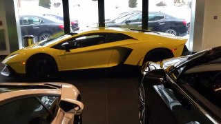 Deaf Car Guy - Lamborghini eeBoston - VLOG