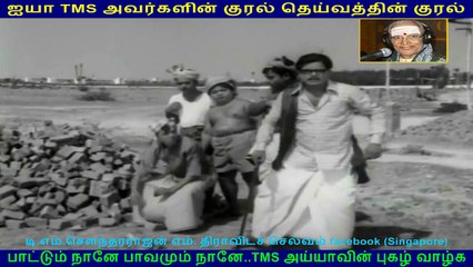 Hello Partner 1972  (TMS Legend)  126