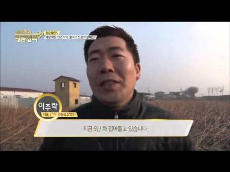제철 맞은 천연 보약, 물속의 산삼의 정체는?  [황금열쇠] 6회 20160109