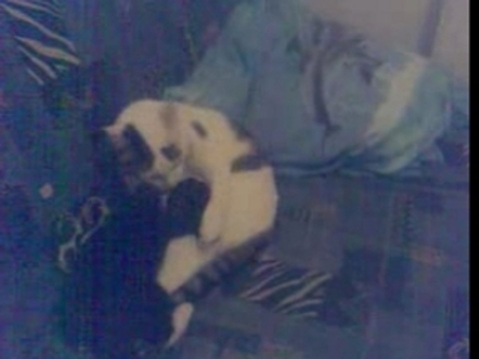 Adoption de Princesse réussi !!