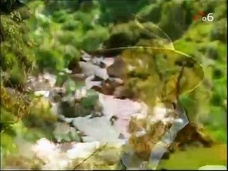 Luz Maria Capitulo 146