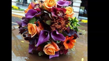 cheb Anouar (eddewha 3lia) , الشاب أنور (أداوها عليا)