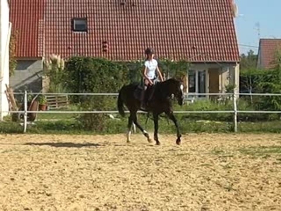 MVI_0963