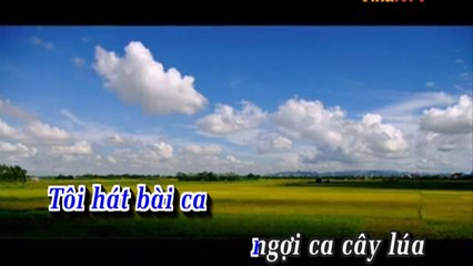 Hát Về Cây Lúa Hôm Nay - Trọng Tấn | KARAOKE BEAT CHUẨN✔