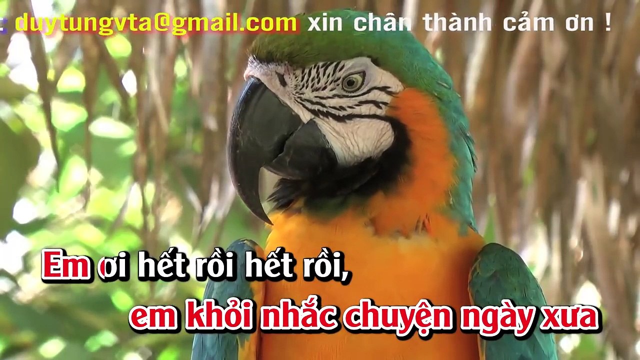 Karaoke - Cho Vừa Lòng Em - Nhạc Sống Hay Nhất 2017