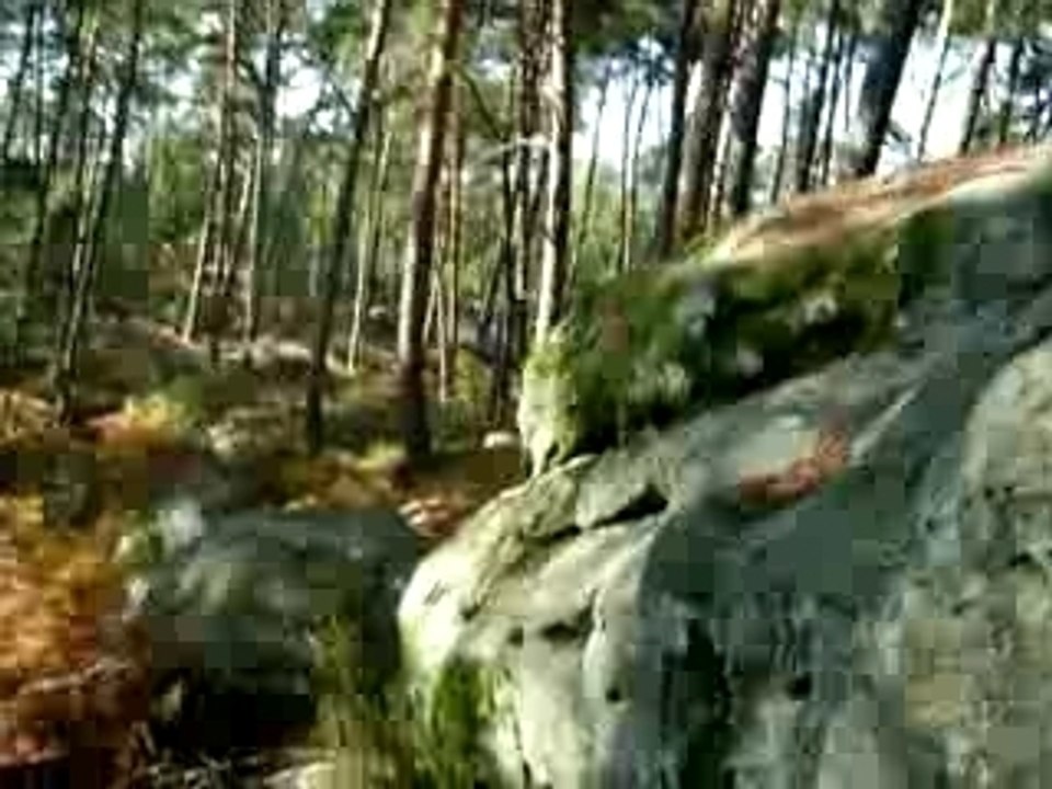 Balade à Fontainebleau