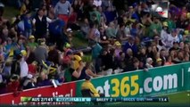 10 MURDEROUS Switch Hits in Cricket