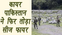 Pakistan violated ceasefire again in Jammu & Kashmir | वनइंडिया हिंदी