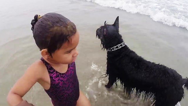 Un chien protège une petite fille contre les vagues sur une plage