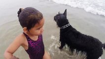 Un chien protège une petite fille contre les vagues sur une plage