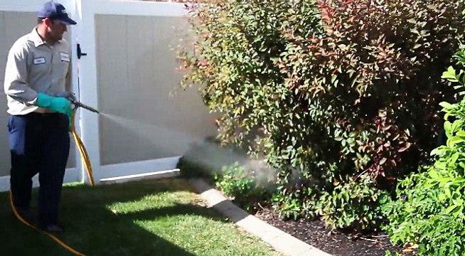 افضل شركة رش مبيدات بالمدينة المنورة 0505055500 شركة مكافحة حشرات بالمدينة المحترفين