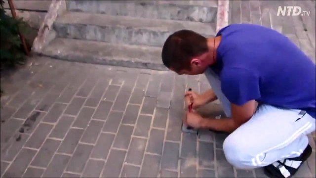 Un homme sauve une chienne sous une route pavée