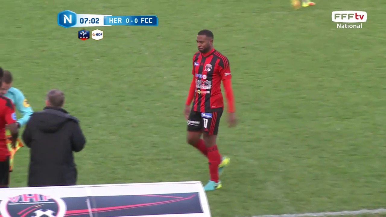 Blessure et sortie pour Les Herbiers, entrée de Ba