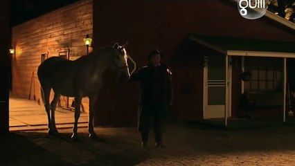 O Potro De Natal (2013) - filmes completos dublados part 2/2