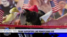 Donald Trump's Inauguration Recreated with Baby Animals