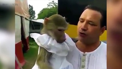 Funny Monkeys 2017    [Funny Pets]