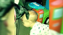 Cute DOGS and BABIES Playing TOGETHER  [Funny Pets]