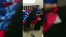 CUTEST DOGS WAKING UP THEIR OWNERS [Funny Pets]