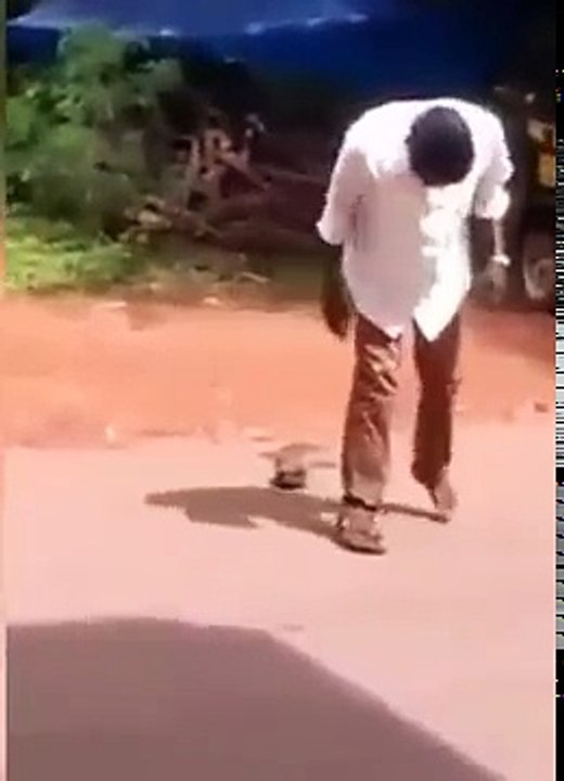 Drunken master trying to wear his chappal