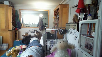 Wiwi muppetshowise "alone in Kyoto" d'Air