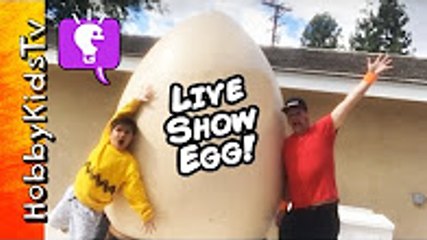 hobbykidstv roblox egg