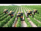 Inventions technologiques, Technologie intelligente pour l'agriculture.