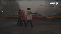 Beijing cloaked in smog as schools, factories close[1]