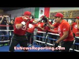 SAUL CANELO ALVAREZ IS A MONSTER!! VICIOUS WORKOUT!! - EsNews Boxing